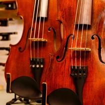 Les instruments à cordes